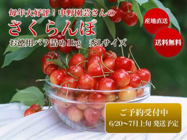 さくらんぼお徳用バラ1kg