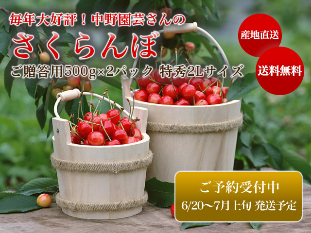 507.チリ産フレッシュチェリー　さくらんぼ　約2kg 贈答用　お歳暮　ギフト 81IR6snoTKL._UF894,1000_QL80_.jpg