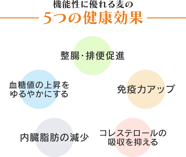 機能性に優れる麦の5つの健康効果