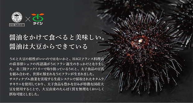 洋野うに牧場とタイシとのコラボ